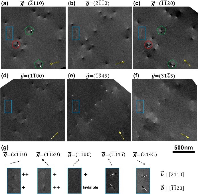 场发射吉林扫描电镜