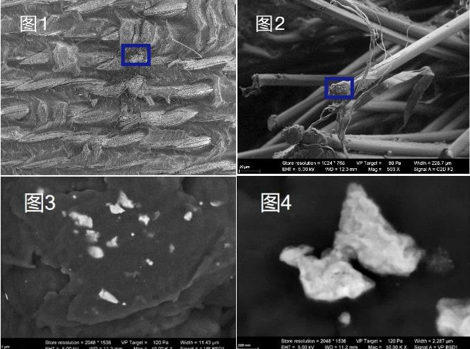吉林蔡司吉林扫描电镜